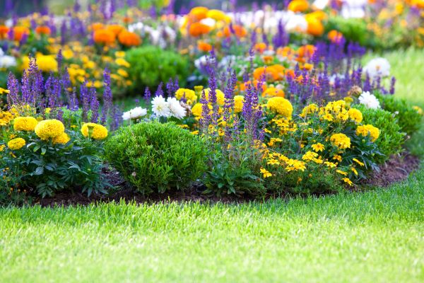 Flower Bed Maintenance in Lubbock