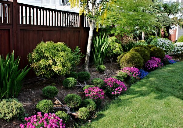 Garden Care Service in Lubbock