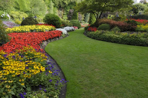Landscaping Maintenance in Lubbock