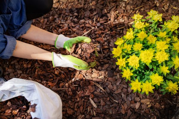 Garden Mulching in Lubbock