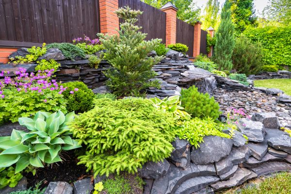 Landscape Remodeling in Lubbock