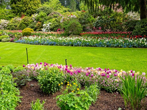 Residential Landscape Design in Lubbock