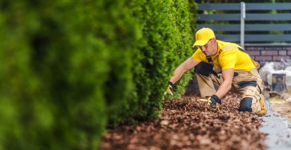 Cypress Mulch Installation in Lubbock