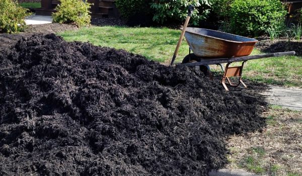 Black Mulch Installation in Lubbock