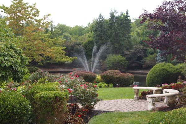 Courtyard Design Service in Lubbock