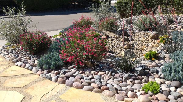 Xeriscape Landscaping in Lubbock