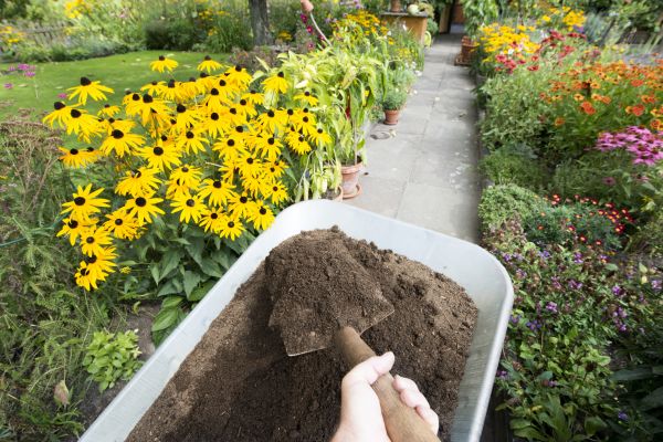 Topsoil Replacement in Lubbock