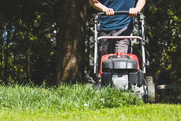 Garden Trimming Service in Lubbock