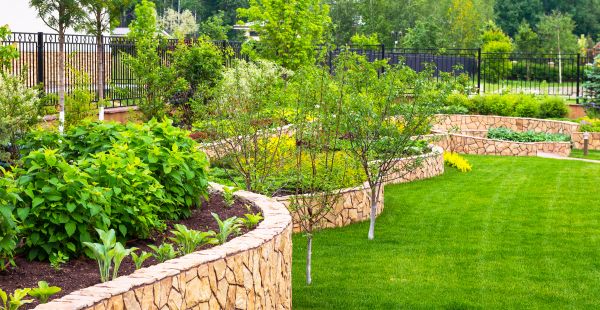 Yard Makeover Service in Lubbock