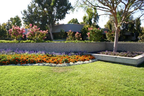 Commercial Landscape Service in Lubbock