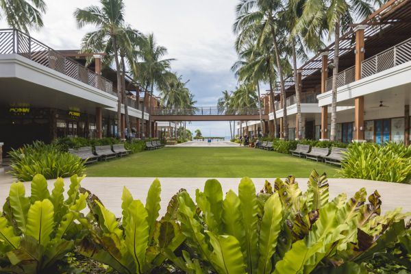 Commercial Lawn Renovation in Lubbock