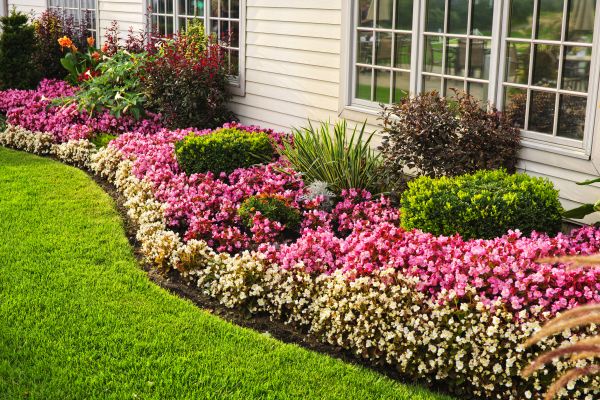 Garden Landscape Design in Lubbock