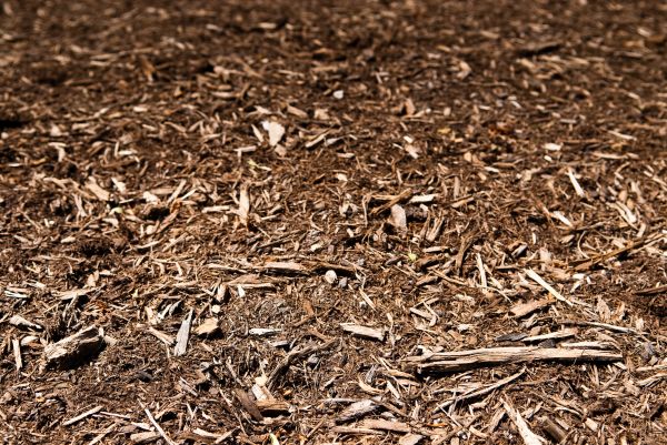 Cypress Mulch Laying