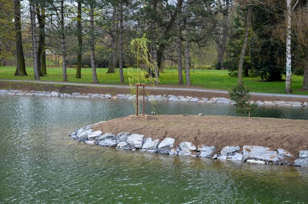 Pond Landscaping Service in Lubbock