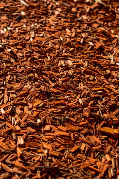 Cedar Mulch Spreading in Lubbock