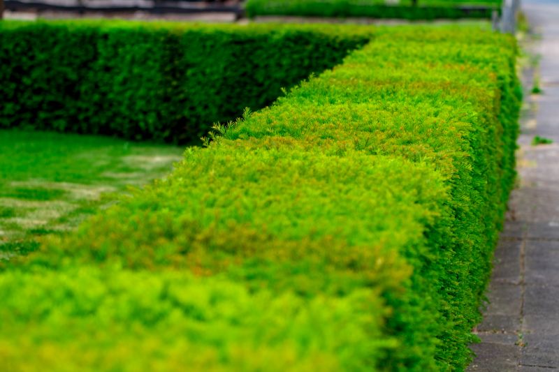 Hedge Installation detail