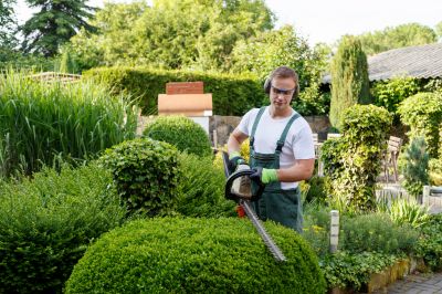 Tree and Shrub Care Providers